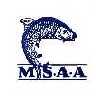 MSAA logo